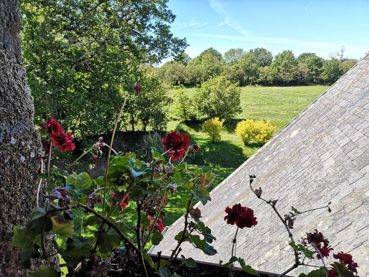 Bed and Breakfast Manoir De La Foulerie Ancteville Exterior foto